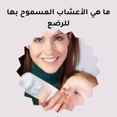 ما هي الأعشاب المسموح بها للرضع